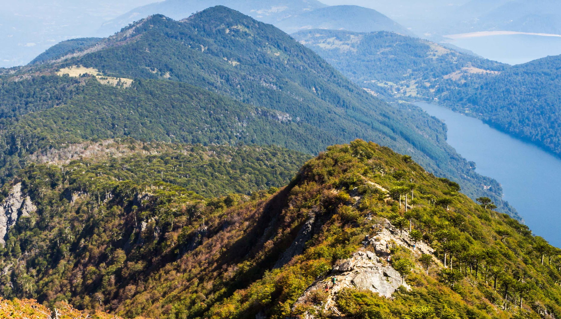 Huerquehue National Park Hike