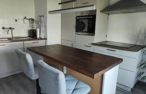 Ferienwohnung in Karlsbad - Foto 4