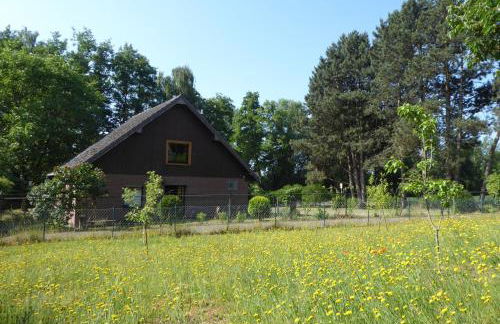 Ferienhaus an der Borner Mühle - Foto 1