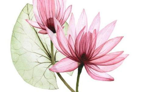 Iliana's House - Foto 47