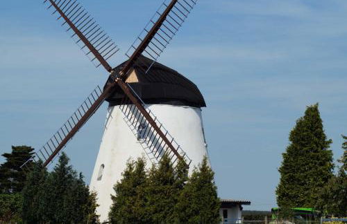 Mühlenurlaub Südheide - Foto 2