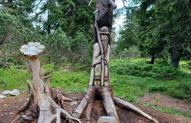 Sluneční stráň III - Photo 27