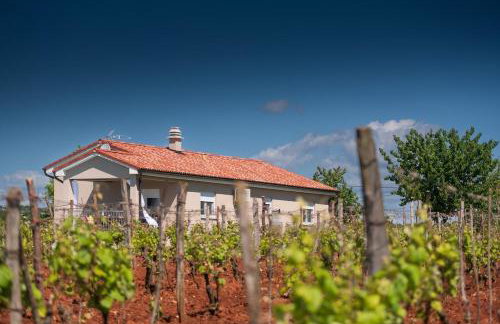 Villa Leoni by IstriaLux - Foto 24