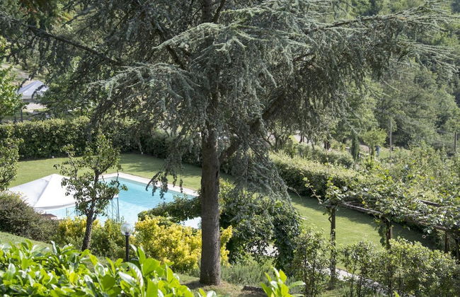 Villa Magnolia - Photo 24