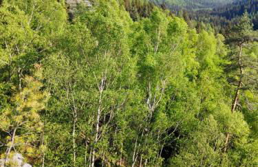 Ferienwohnung Sächsische Schweiz - Foto 19