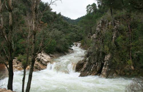 Apartamentos mirasierra plaza - Foto 34