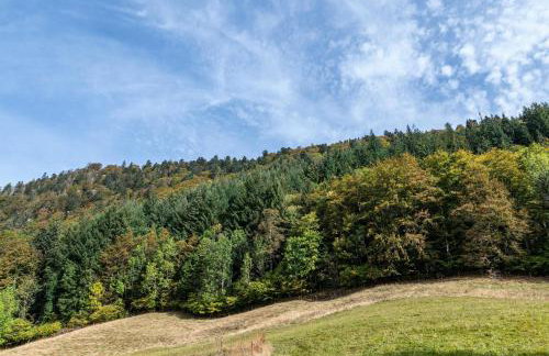 Gasthaus Zur Linde- Napf - Photo 11