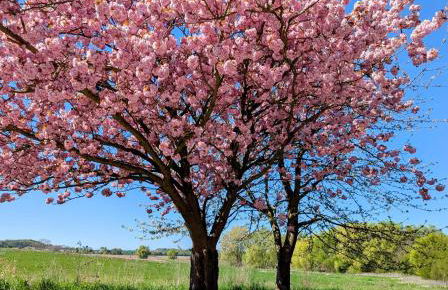 Oberdeck Ostsee - Foto 15