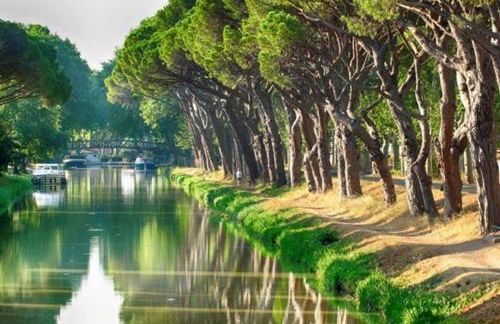 Entre mer et garrigue - Foto 45