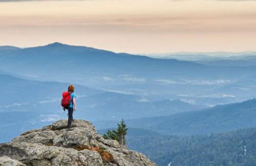 Ferienwohnung HOAMAT Schmalzreich Andrea - Foto 40