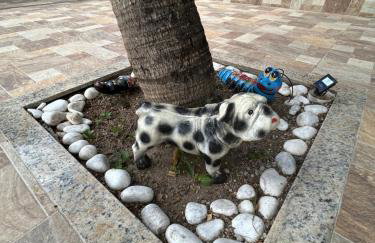 Cantinho da Bell - Foto 55