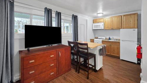 The Main Lineup 3 - All Star Baseball Rentals - Foto 4