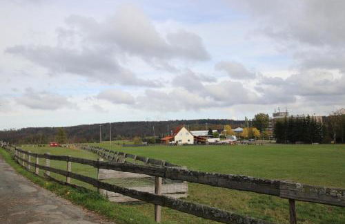 Ferienhäuser in Allrode - Foto 11