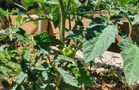 Villa Anasa Residence - Foto 77