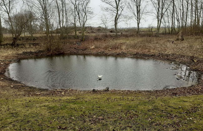 Exclusives Appartement auf Fehmarn - Foto 20