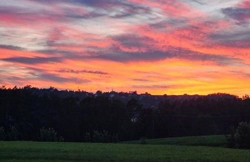 Moderne Bauernhof Wohnung mitten in der Natur - Foto 27