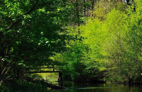 Leśna Chata kuracyjna nad rzeką z sauną w Borach Tucholskich - Foto 47