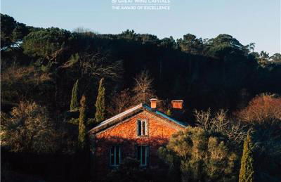 Wine Tourism - Quinta do Ameal - Foto 1