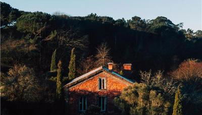 Wine Tourism - Quinta do Ameal - Foto 1