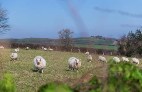 Beautiful Countryside cottage on the North Wales Coast - Photo 6