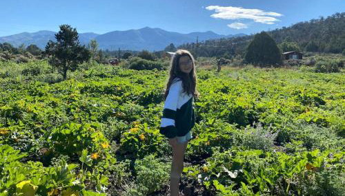 Studio-Style Log Cabin near Carson National Forest, New Mexico - Foto 2