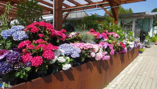 Holiday apartment with 2 bedrooms - Foto 4, Other