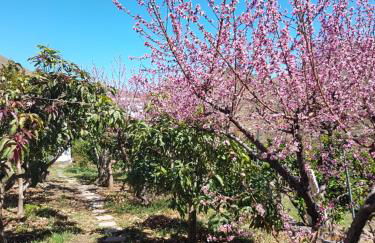 CASA RURAL en Santa Cruz - Foto 13