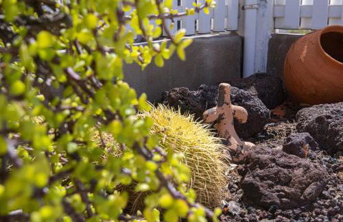 Casa Mia Monte León - Foto 70