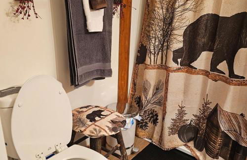 Pet Friendly Creekside Cabin Kooser St Park - Foto 18