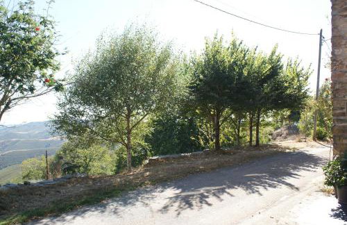 O Bolaño Apto 3 - Foto 26