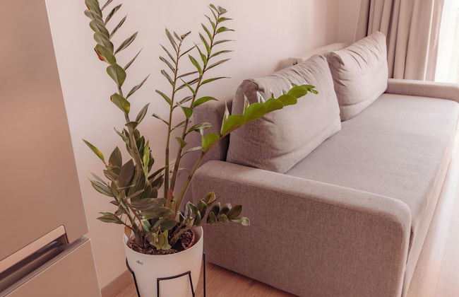 ZEN Residential Apartments - Photo 52