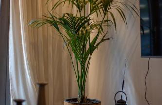 Carmen's cozy&luxury apartment! - Photo 26