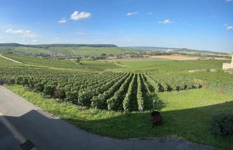 AU COEUR DU TERROIR CHAMPENOIS - Foto 22