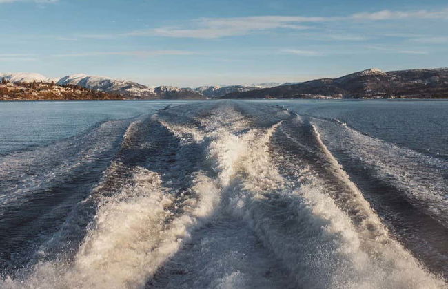 Balade en bateau à travers les fjords de Bergen et Oster + Canal de Mostraumen - Foto 3