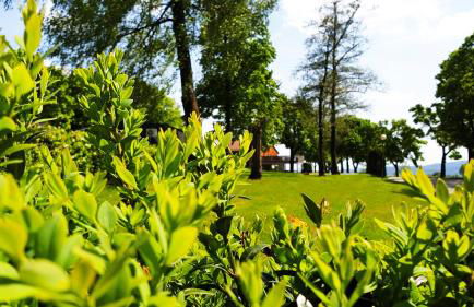 Modernes Familien Tiny House - Natur & Sternenhimmel inklusive! - Foto 28