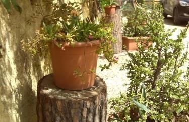 Appartamenti Claudia Rio - Foto 47