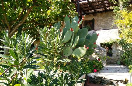 Villa Filiza - Photo 33