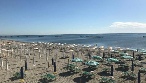 Scacchi 11 - Photo 2