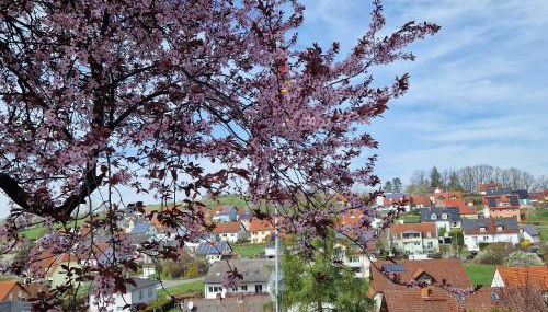 Ferienwohnung Wachter in Viereth mit tollem Ausblick - Photo 5