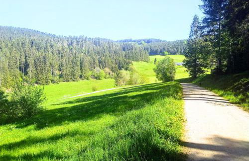 Romantic Style Apartment Titisee-Neustadt - Foto 26