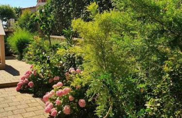 Villa Jolanda - Foto 11