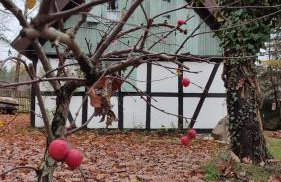 Małanka - kaszubska chëcz - Photo 24