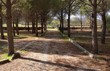 El Pinar del Rondero J&M En Plena Naturaleza - Photo 61