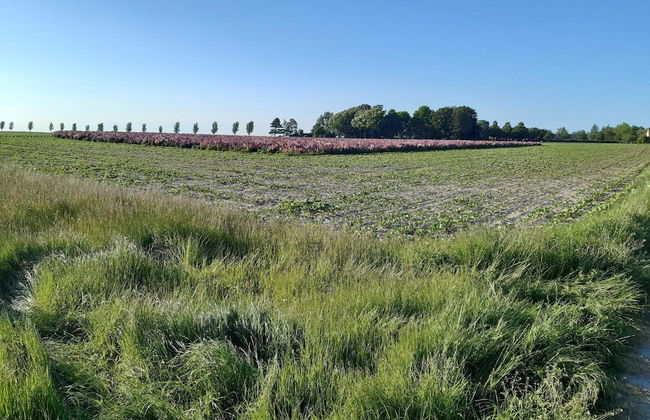 4 Person Holiday Home in Nakskov - Foto 9