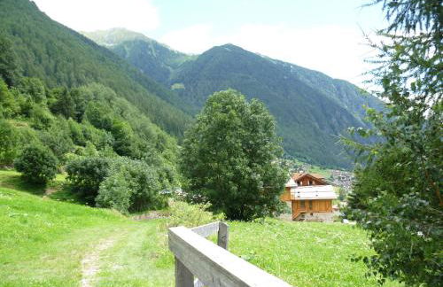 Maso Fior di Bosco - Val di Rabbi - Esercizio Rurale - Foto 74