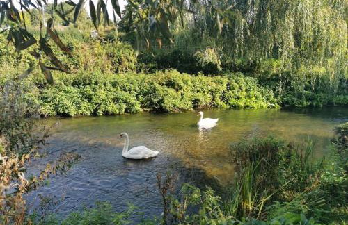 Lovely 2 bed annexe near Salisbury - Foto 35
