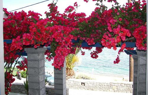 Theoxenia Chios Apartments - Photo 73