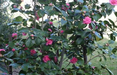 gite l'opale - Photo 19