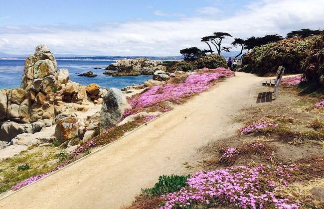 Mv6: 30 Night Minimum Lover's Point Mermaid Cottage - Foto 21