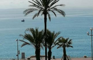 Terrasse Vue Mer Plage à 50 m Parking - Foto 26